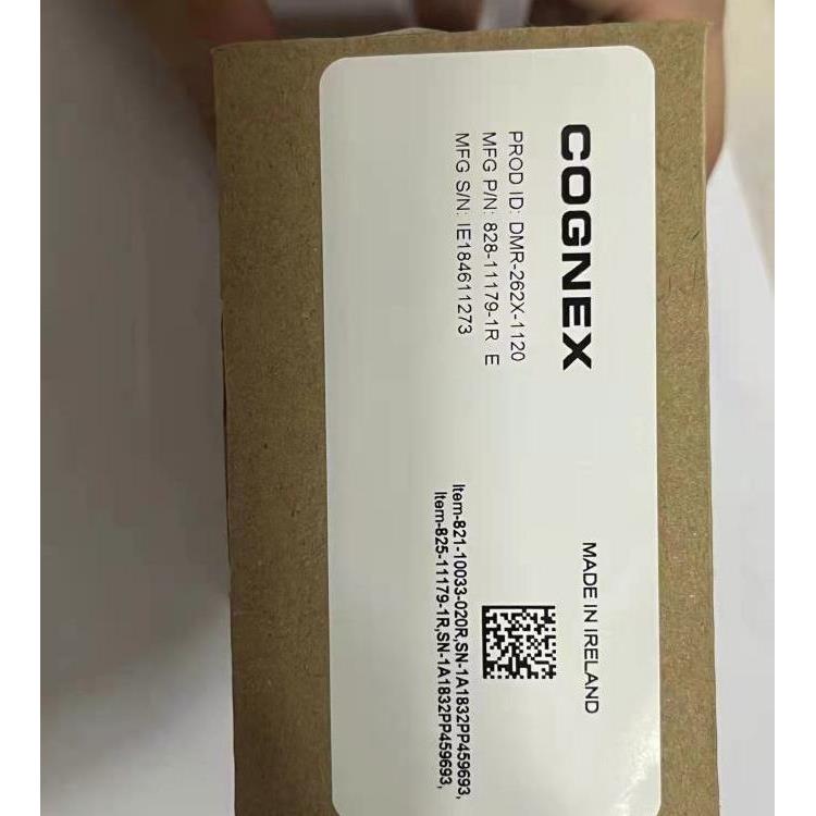 康耐视固定式读码器操作手册指导DM262S/DM262Q/DM262X - 图0