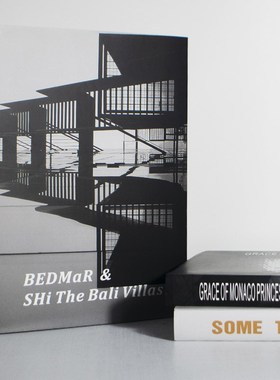 现简约时尚样板房建筑艺术书拍摄道具书柜装饰品摆件真书