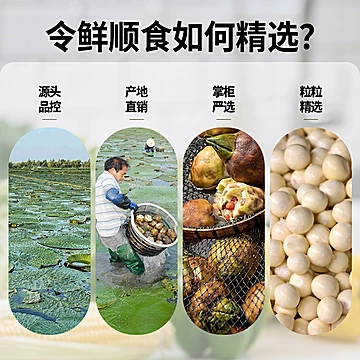 【国企助农】鸡头米500g[1元优惠券]-寻折猪