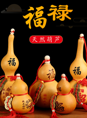 天然开口特大葫芦挂件真胡芦门口卧室带盖八卦葫芦摆件