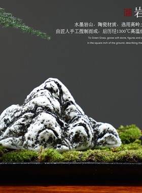 创意摆件微景观文竹苔藓水培花盆景绿植客厅茶室桌面装饰品