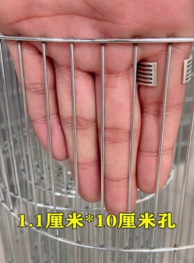 电焊网铁丝网铁网格网片加粗养殖网围栏铁丝网围栏鸟笼网