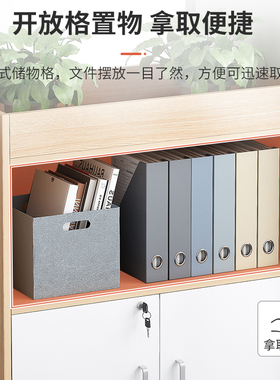 文件柜办公室柜子凭证柜资料柜带锁储物柜档案柜收纳柜矮柜落地柜