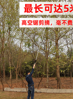 省力剪枝剪刀伸缩大力剪高空修枝剪果树剪刀修剪树枝剪刀园艺剪刀