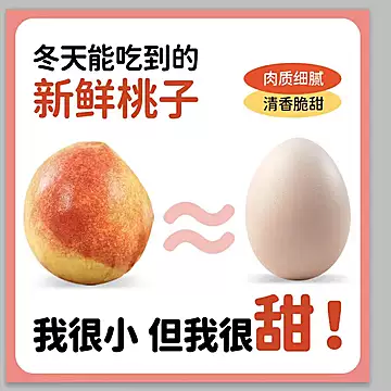 五叔家青州蜜桃4.5斤果子[2元优惠券]-寻折猪