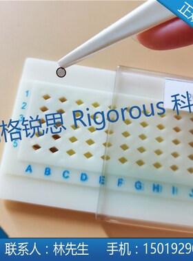 新型多功能微栅 微栅阵列碳支持膜铜网 微栅阵列碳支持膜金网
