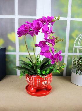 模拟花蝴蝶兰套装红色陶瓷花盆室内客厅丝绸插花婚礼新房装饰花艺