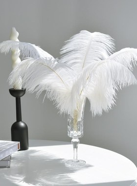 北欧风轻奢白色羽k毛装饰摆件家居客厅餐桌甜品店酒吧氛围感摆设