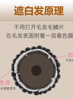 补色笔棕色植物在家白发笔盖白发一次性白发笔临时上色白发笔同学