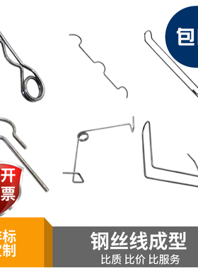 不锈钢线材成型钢丝折弯厂家异型弹簧金属线铁丝折弯非标加工定制