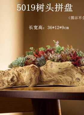 居家摆件拼盘 树头工艺品 树脂复古做旧桌面微景观大号树头盆