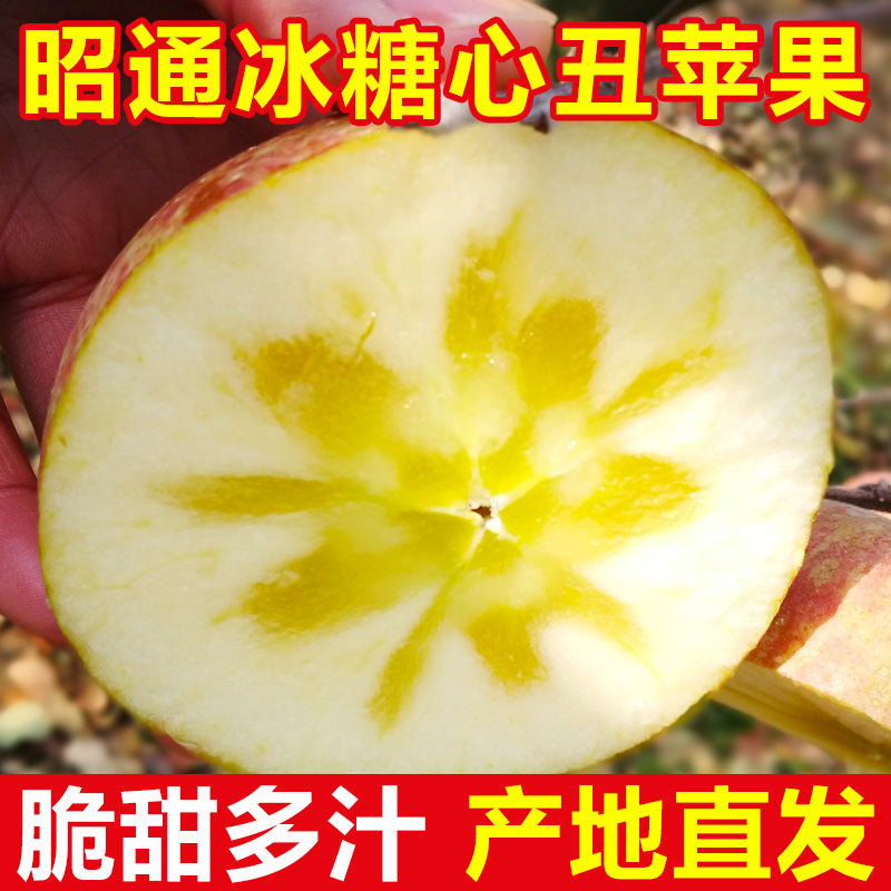 正宗云南昭通丑苹果冰糖心现摘当季新鲜水果园红富士整箱脆甜多汁