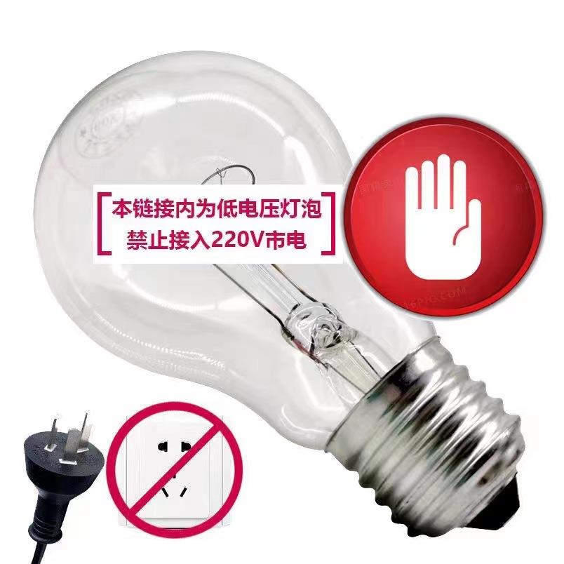 低压白炽灯泡24V40W60W36V40W60W100W机床车床矿山电瓶专用钨丝灯 - 图0