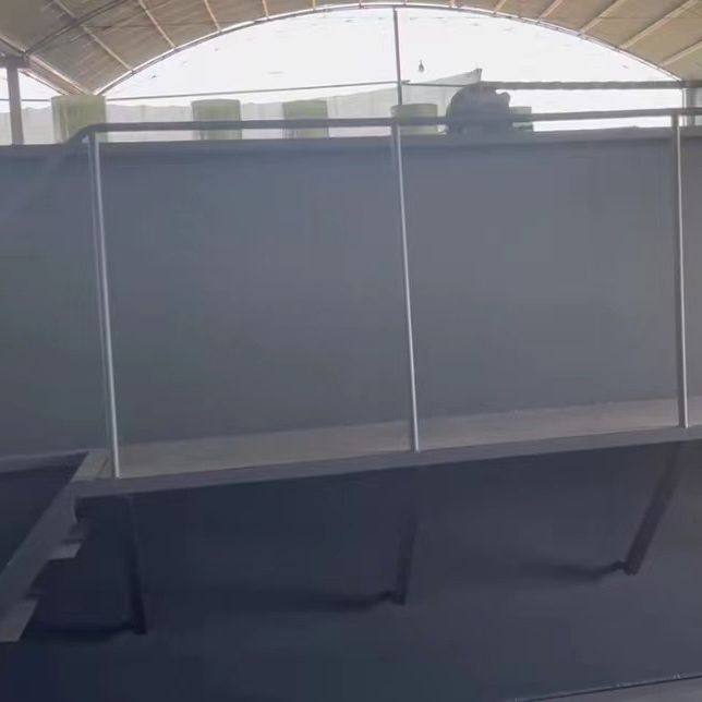 碳钢气浮机设备 屠宰污水油水分离刮渣溶气曝气处理源头厂家,淘宝优惠券,粉丝福利购,淘宝优惠卷