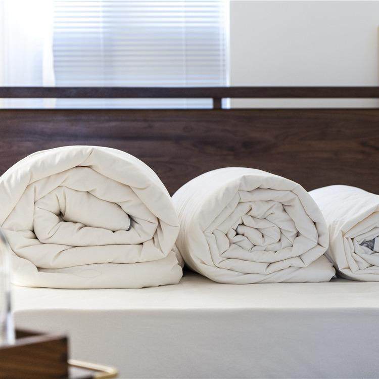 冬季日式高端长绒棉蚕丝春秋被全棉保暖贴身加厚冬款被芯四季款,淘宝优惠券,粉丝福利购,淘宝优惠卷