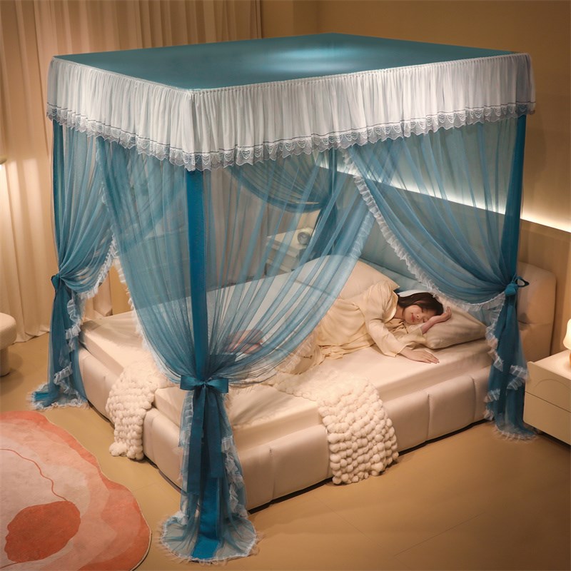 新款蚊帐公主风1.8m床卧室落地式三开门加粗支架S加密帐纱安全防 - 图1