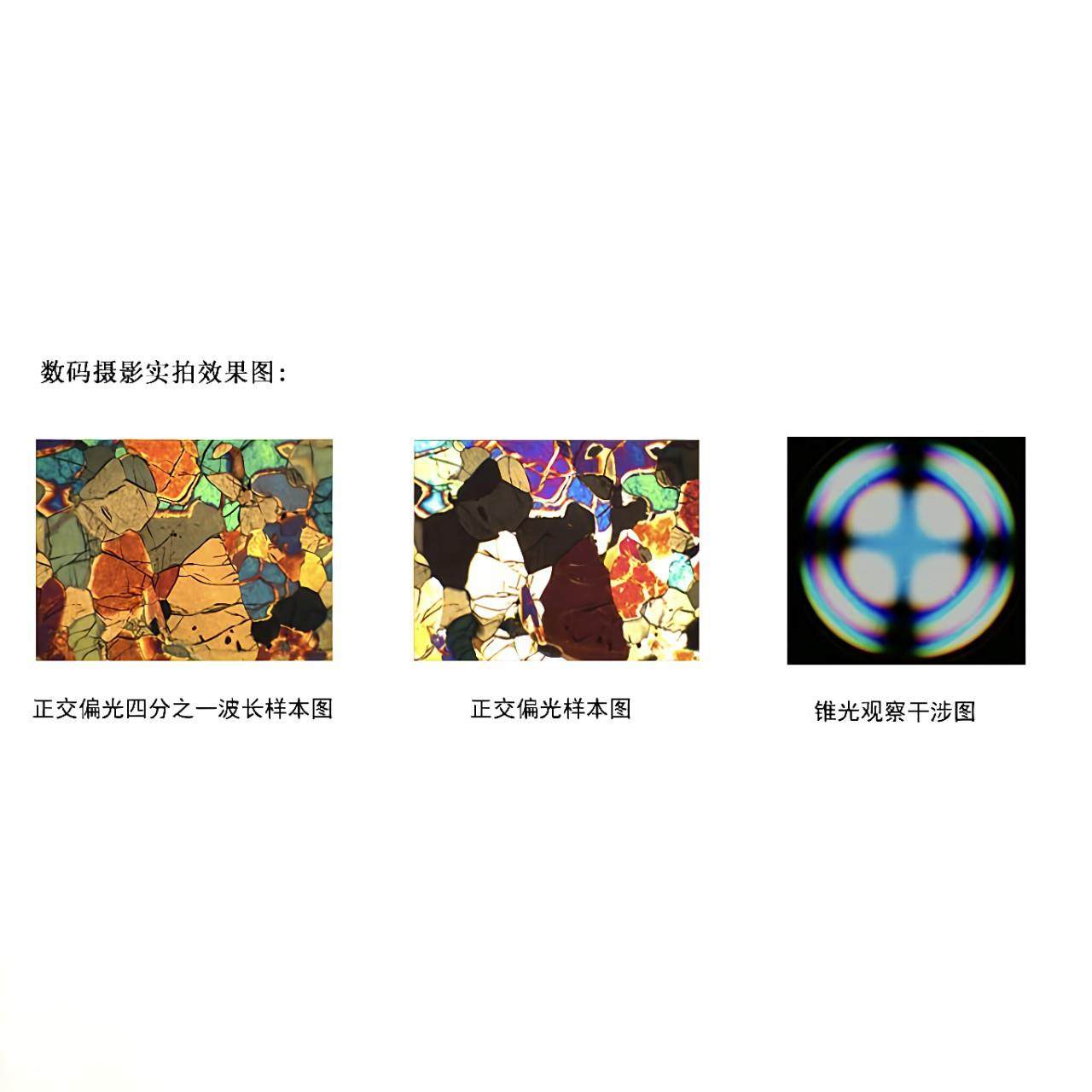 偏光显微镜鉴别双折射特性物质结晶矿物岩石金相组织高清,淘宝优惠券,粉丝福利购,淘宝优惠卷