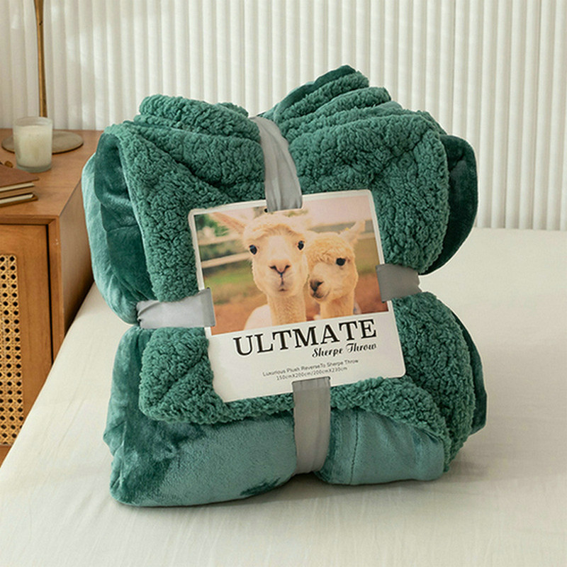 羊羔绒毛毯被子珊l瑚绒毯子春秋沙发盖毯单人午睡毯冬季加厚床上,淘宝优惠券,粉丝福利购,淘宝优惠卷