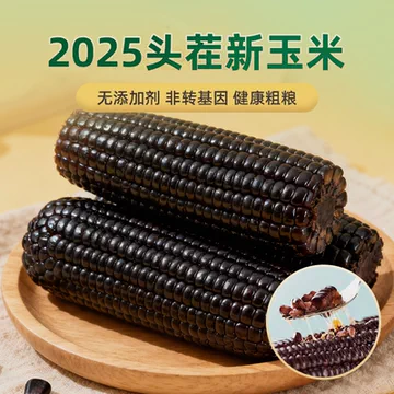 220gx8根12.9！康宇田源.黑甜糯玉米[22元优惠券]-寻折猪