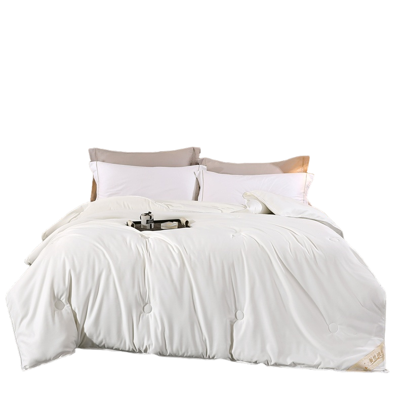 蚕丝被100桑蚕丝冬被春秋子母被丝棉官方旗舰店2025新款被芯正品,淘宝优惠券,粉丝福利购,淘宝优惠卷