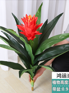 仿真植物鸿运当头假花塑料花绿植
