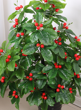 仿真植物果树金桔红果假树仿生花
