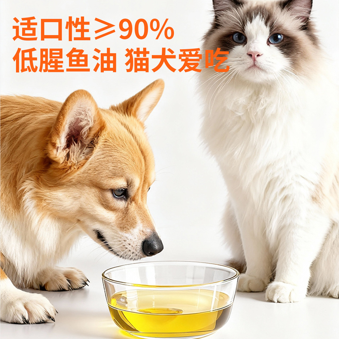 深海磷虾鱼油猫用狗狗小猫咪专用宠物防掉毛吃鱼肝油犬用幼猫美毛,淘宝优惠券,粉丝福利购,淘宝优惠卷