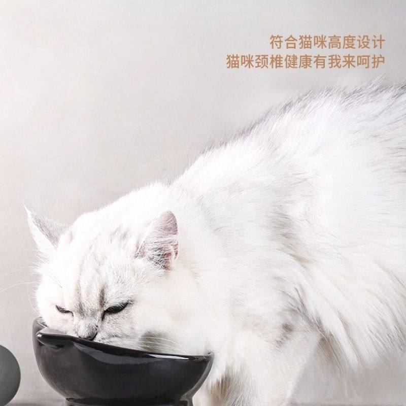 可爱猫碗陶瓷黑色水碗斜口猫咪碗猫食盆宠物碗可爱猫狗碗防黑下巴,淘宝优惠券,粉丝福利购,淘宝优惠卷