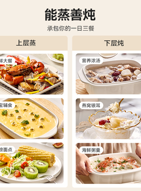 松雨蒸炖电蒸锅家用多功能大容量电炖锅隔水炖盅全自动预约蒸煮锅