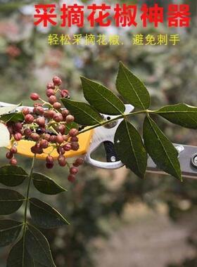 剪枝剪 伸缩摘荔枝神器杆高空龙眼黄皮果树采摘果器加长修枝剪