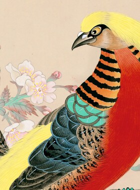 喻继高梨花锦鸡玄关装饰画走廊壁画宣纸花鸟画中式书房卧室挂画