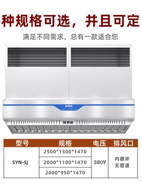商用饭店酒店学校食堂油烟净化烟罩一体机 终身免清洗抽油烟设备
