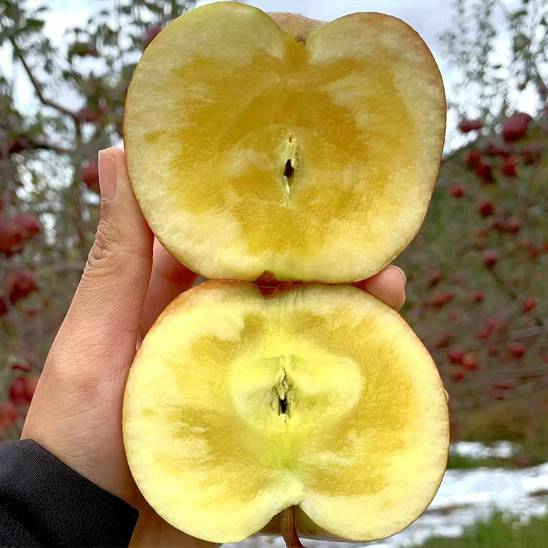 【下单立减50】正宗冰糖心丑苹果红富士苹果新鲜应季水果脆甜多汁,淘宝优惠券,粉丝福利购,淘宝优惠卷