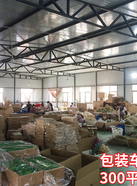 永生花满天星花束家居婚庆插花装饰摆件拍摄道具diy礼物制作