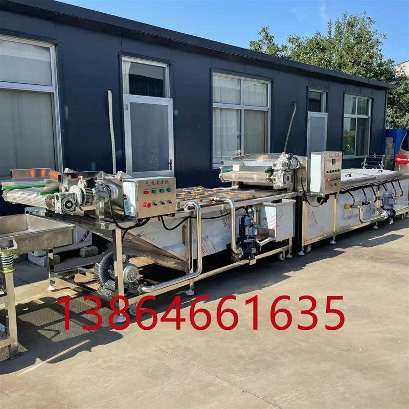 砂糖橘气泡清洗机 全自动玉米清洗风干线 白菜菠菜洗菜机 流水线,淘宝优惠券,粉丝福利购,淘宝优惠卷