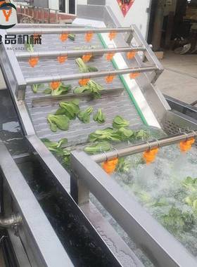 山野菜加工洗菜机芒果猕猴桃气泡清洗机包装袋油污清洗风干流水线