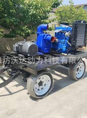 电机发动机双动力水泵自吸泵机组柴油机清水抽水泵工业管道排水泵