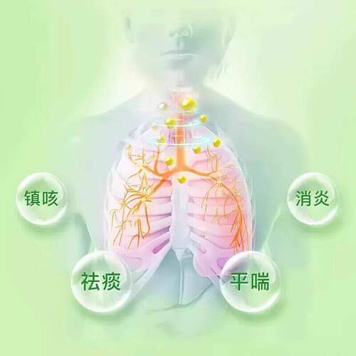 当天发】叶真堂蛇胆川贝液风热咳嗽痰多久咳不止气喘胸闷咳痰不爽 - 图2