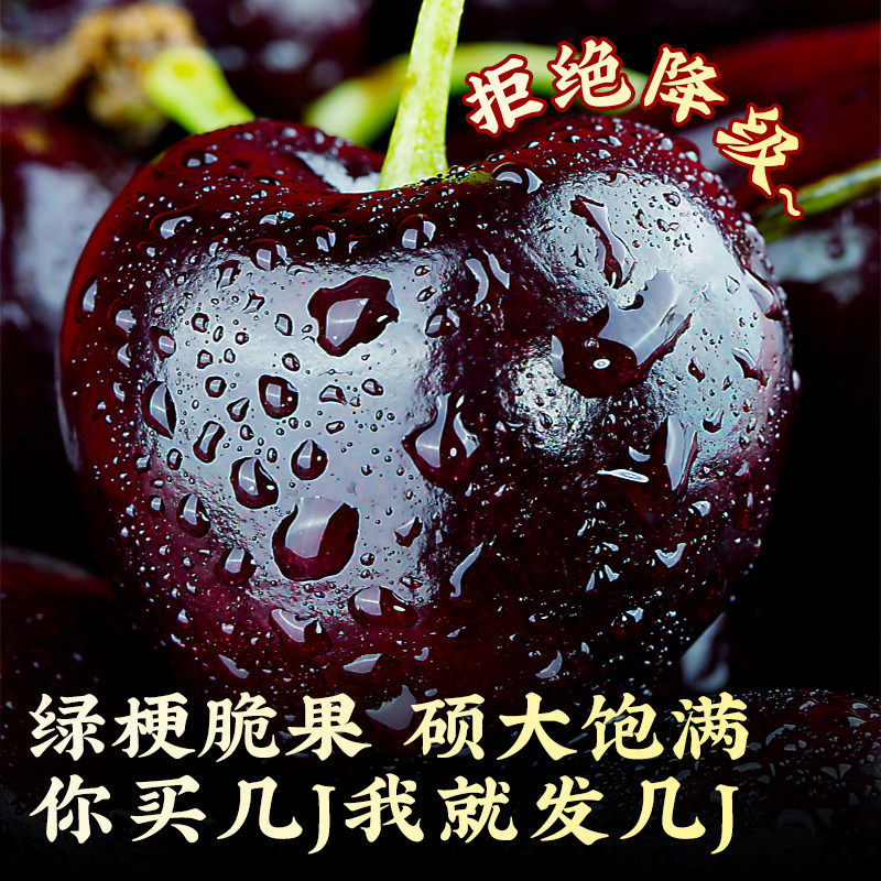 智利进口桑提娜车厘子原箱大5斤装礼盒孕妇新鲜水果樱桃包邮3j4j,淘宝优惠券,粉丝福利购,淘宝优惠卷