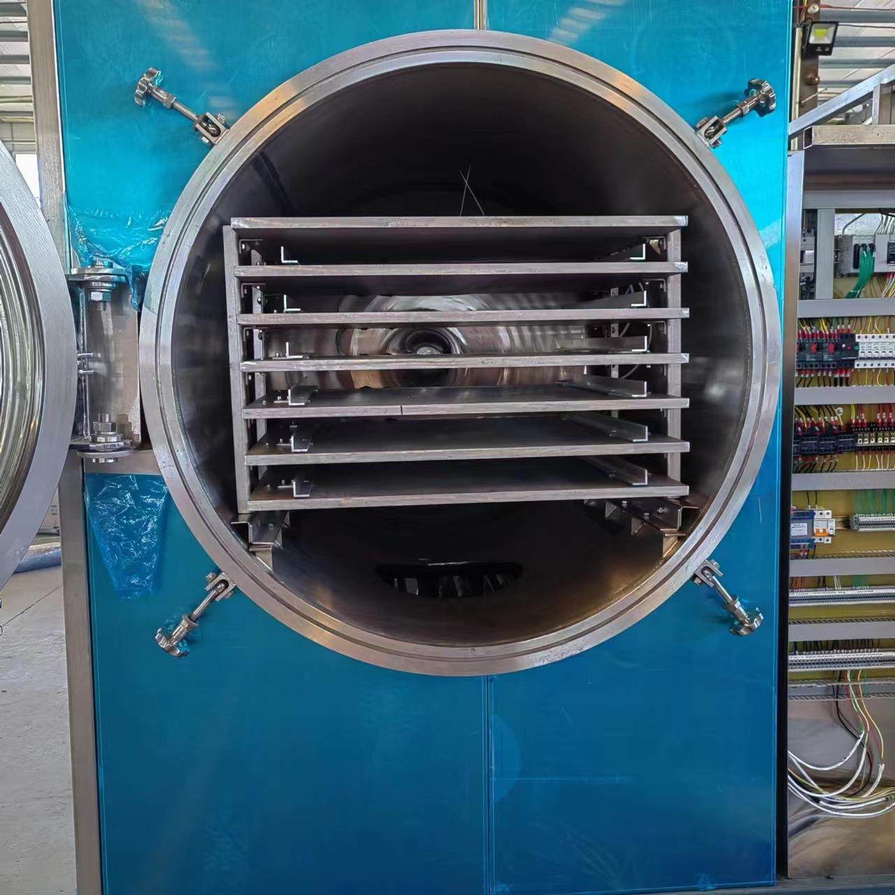 柠檬大石榴粉冻干机全自动苹果枸杞锁鲜冻干设备红枣真空冻干机,淘宝优惠券,粉丝福利购,淘宝优惠卷