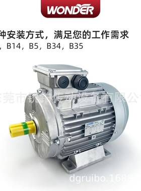 WONDER电机380V三相WEA8024铝壳交流高速电动机0.75KW机械设备用