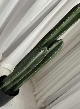 PU手感胶新茸仙人柱北欧仿真仙人掌室内客厅橱窗装饰摆件假绿植