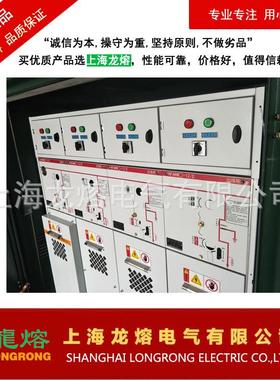 10kv电缆分支箱一进一出欧式高压电缆分接箱户外高压分支箱