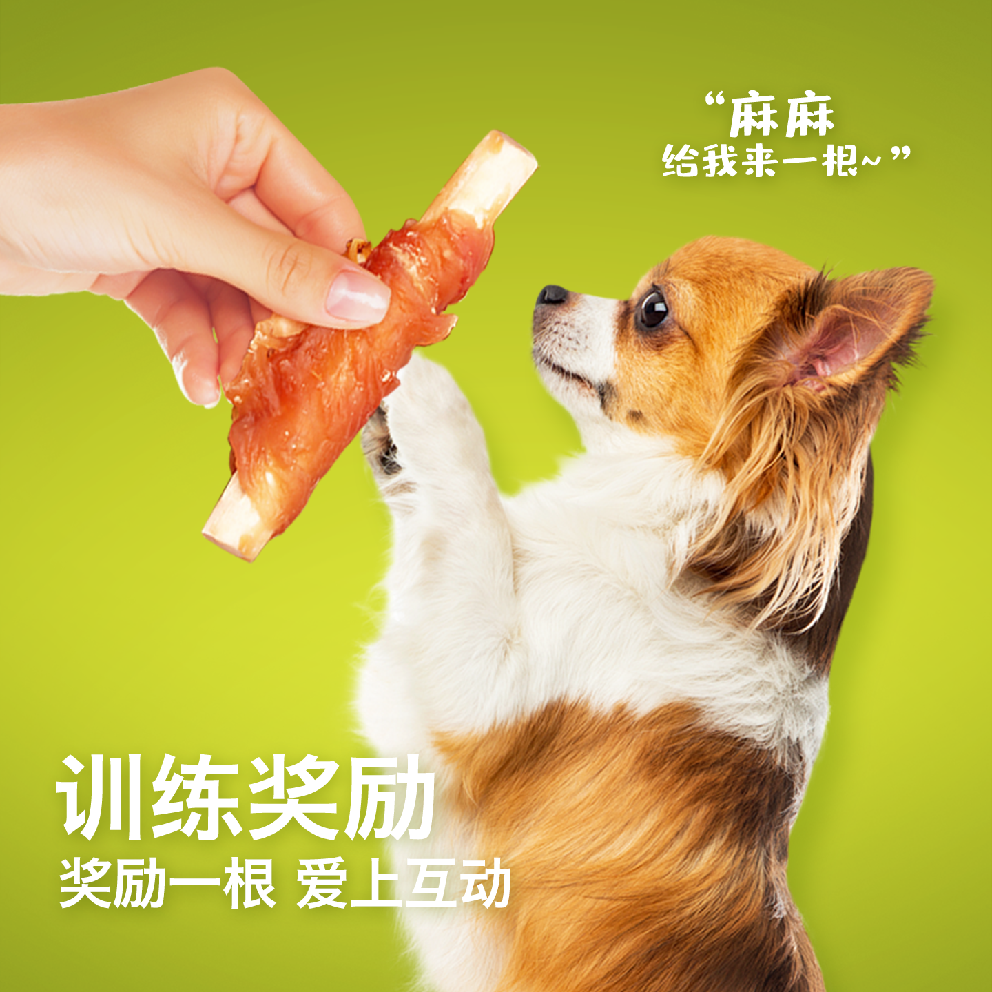 毛球吾宠宠物狗零食鸡肉钙奶棒小型犬训练奖励幼犬大型犬磨牙玩具,淘宝优惠券,粉丝福利购,淘宝优惠卷