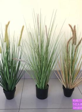 仿真狗尾巴草芦苇草绿植物影楼干花水草橱窗绢花装饰拍摄摆放花艺