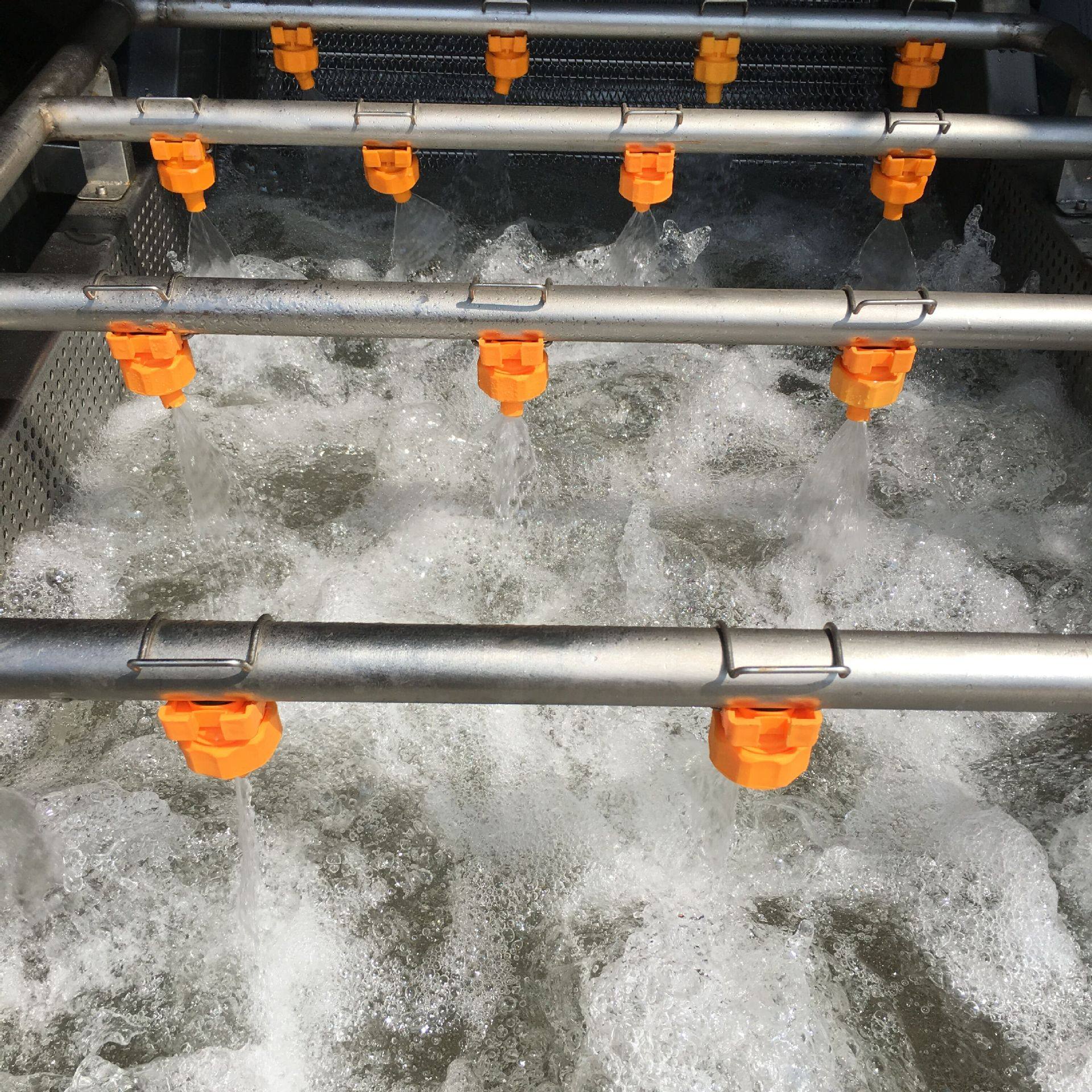 大枣红枣清洗机不锈钢洗菜机高压喷淋清洗机桃子气泡清洗机蔬果,淘宝优惠券,粉丝福利购,淘宝优惠卷