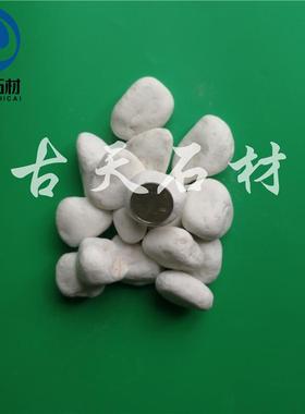 白色石子花园用鹅卵石庭院铺路铺地小白石头枯山水造景景观白石子