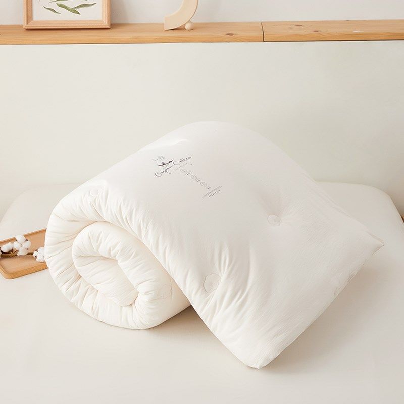 A类高支全棉亲肤冬被100%棉花被被芯加厚保暖家用单双人舒适被子,淘宝优惠券,粉丝福利购,淘宝优惠卷