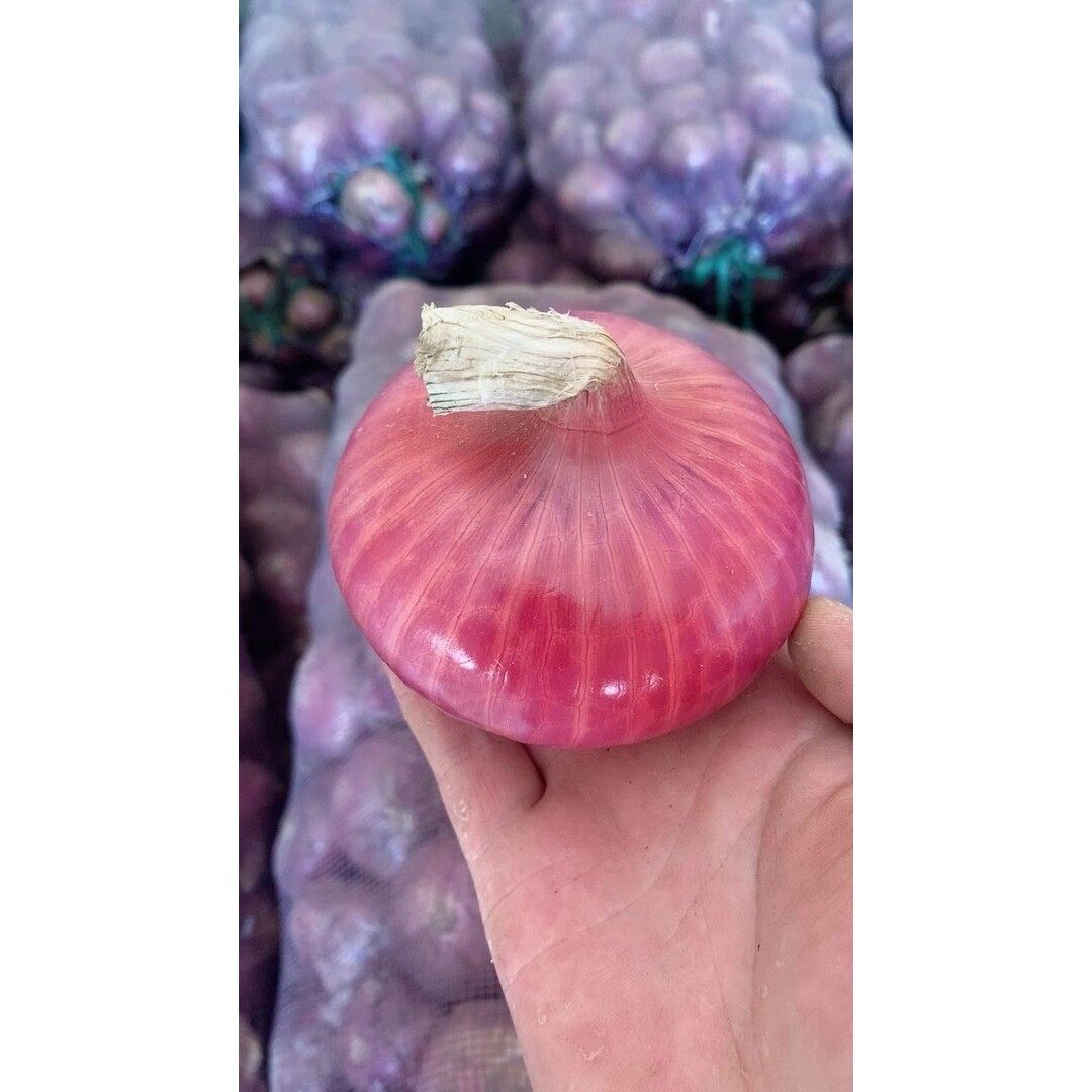 山东新鲜扁平二红水果洋葱可生吃微甜微辣5斤时令蔬菜,淘宝优惠券,粉丝福利购,淘宝优惠卷