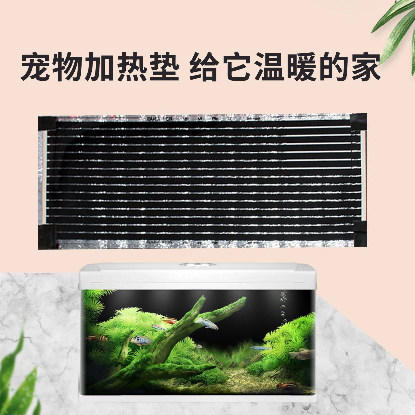 爬宠加热垫宠物取暖用品爬虫守宫乌龟斗鱼石墨烯加热垫,淘宝优惠券,粉丝福利购,淘宝优惠卷